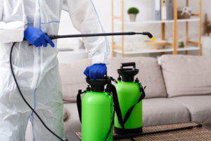 Unrecognizable person disinfecting home sofa with cleaning spray