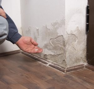 mold and water damage restoration services