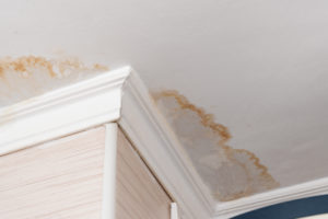In Home Water Damage Services