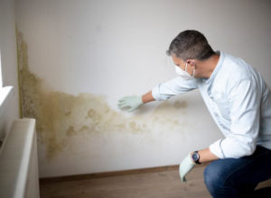 how to tell if you have mold in a commercial building in Baltimore MD